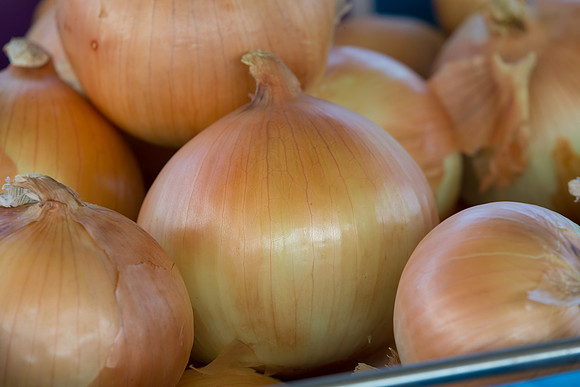 Onion_UH-OMY-1541_CA_0004