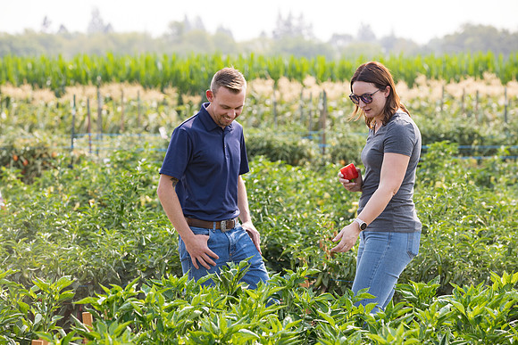 Seminis2021_Woodland_266