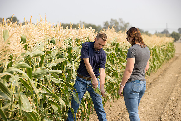 Seminis2021_Woodland_376