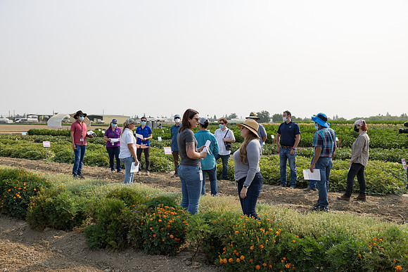 Seminis2021_Woodland_157