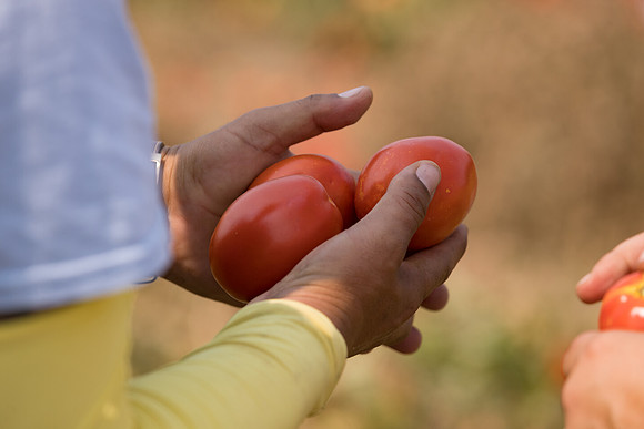 Seminis2021_Woodland_1243