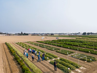 Seminis2021_Woodland_1