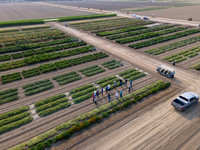 Seminis2021_Woodland_21