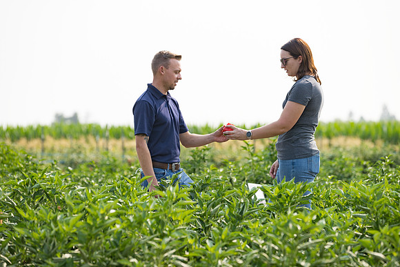 Seminis2021_Woodland_316