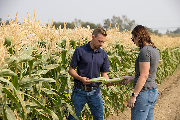 Seminis2021_Woodland_396
