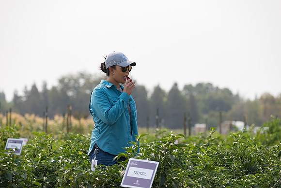 Seminis2021_Woodland_608