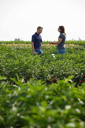 Seminis2021_Woodland_319