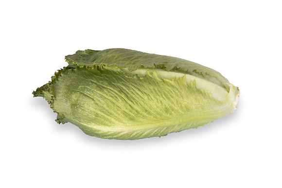 Lettuce_SV3176LG_CA_0105