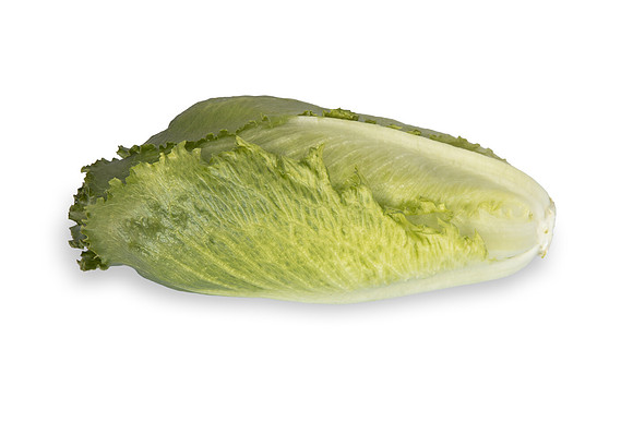 Lettuce_SV3176LG_CA_0103