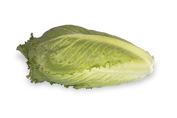 Lettuce_SV3176LG_CA_0108