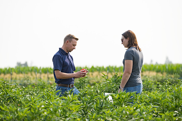 Seminis2021_Woodland_302