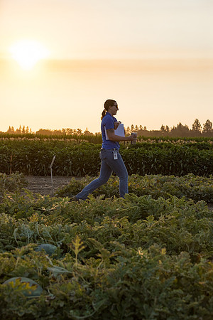 Seminis2021_Woodland_1738