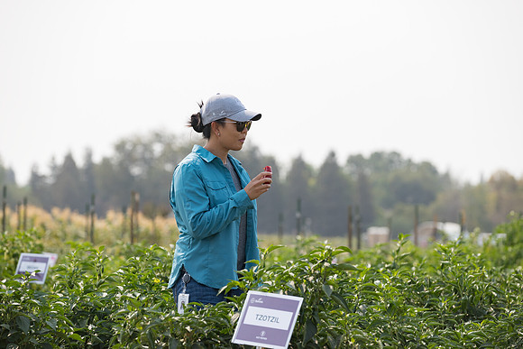 Seminis2021_Woodland_620