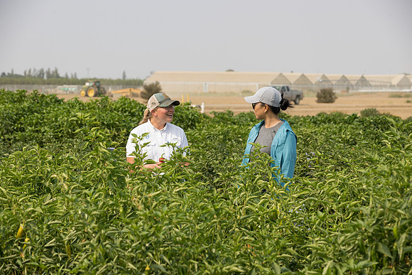 Seminis2021_Woodland_537