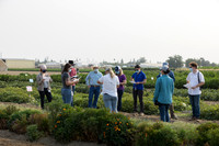 Seminis2021_Woodland_47