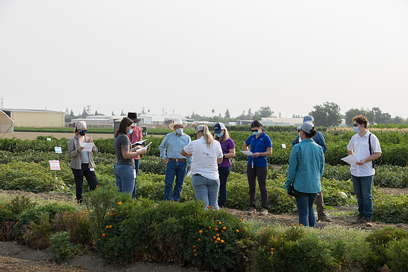 Seminis2021_Woodland_47