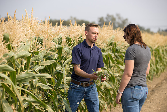 Seminis2021_Woodland_384
