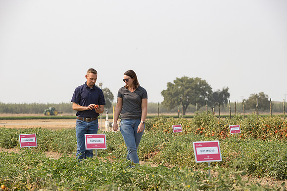 Seminis2021_Woodland_448