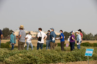 Seminis2021_Woodland_63