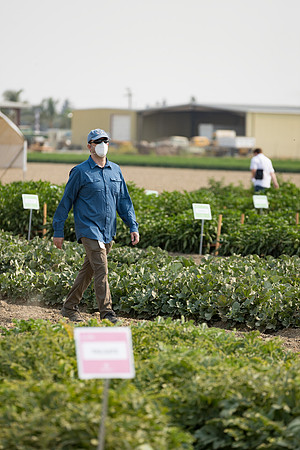 Seminis2021_Woodland_218