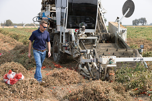 Seminis2021_Woodland_667