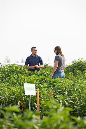 Seminis2021_Woodland_327