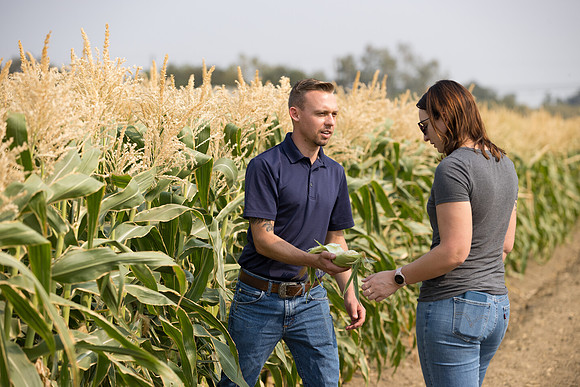 Seminis2021_Woodland_388