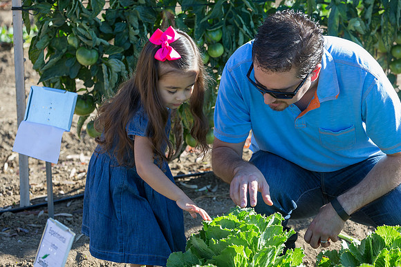HomeGarden_Lifestyle_Camarillo_CA_0084