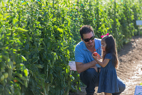 HomeGarden_Lifestyle_Camarillo_CA_0068
