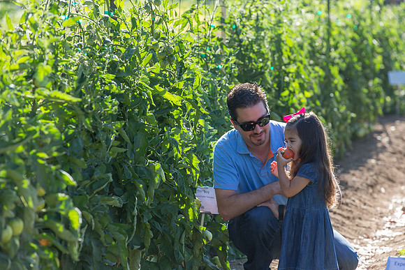 HomeGarden_Lifestyle_Camarillo_CA_0066