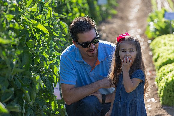 HomeGarden_Lifestyle_Camarillo_CA_0074