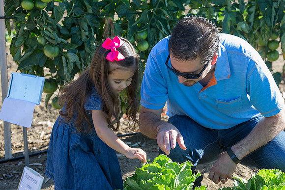 HomeGarden_Lifestyle_Camarillo_CA_0082