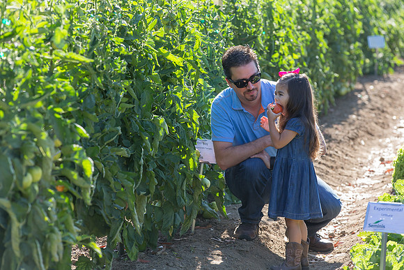 HomeGarden_Lifestyle_Camarillo_CA_0065