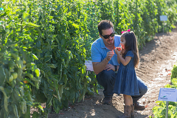 HomeGarden_Lifestyle_Camarillo_CA_0062