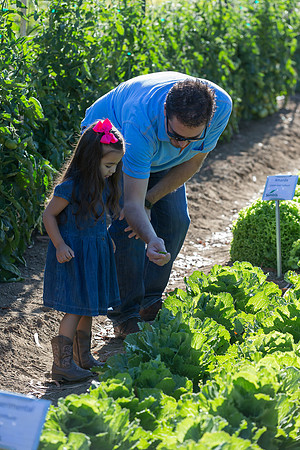 HomeGarden_Lifestyle_Camarillo_CA_0047