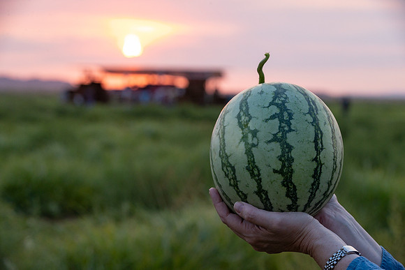 Seminis2021_AZ_50