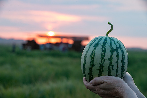 Seminis2021_AZ_40