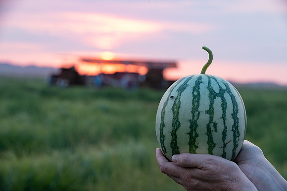 Seminis2021_AZ_42