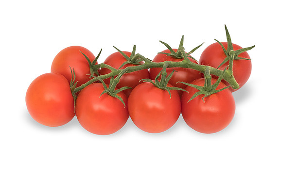 Tomatoes_Florino_0003