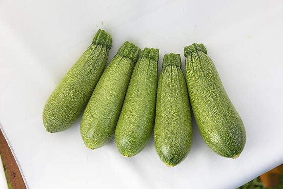 Squash_PS7464_MX_Group_0004