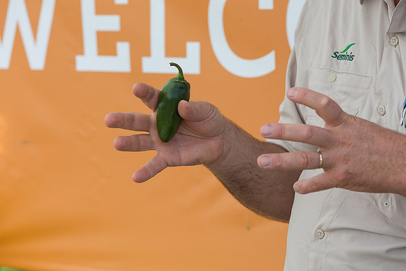 HotPeppers_FieldDays_Woodland_CA_0207