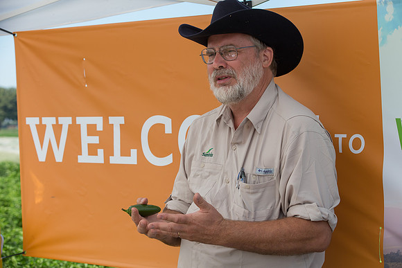 HotPeppers_FieldDays_Woodland_CA_0200
