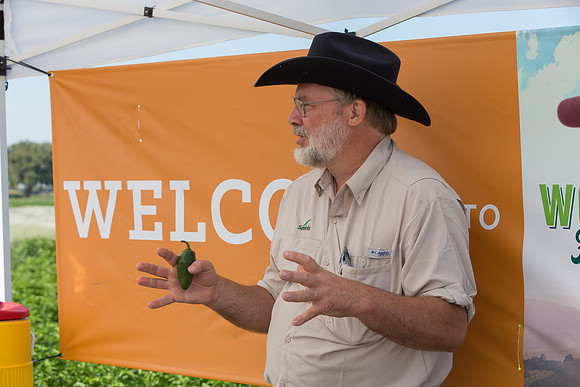 HotPeppers_FieldDays_Woodland_CA_0195