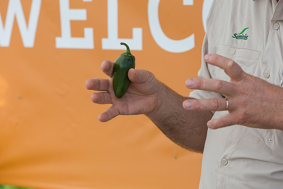 HotPeppers_FieldDays_Woodland_CA_0208