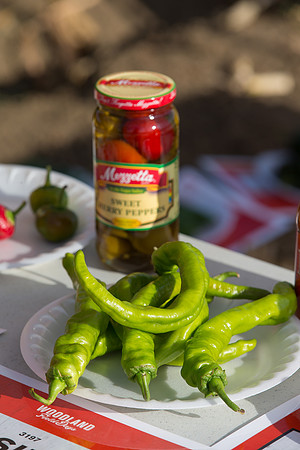 HotPeppers_FieldDays_Woodland_CA_0078