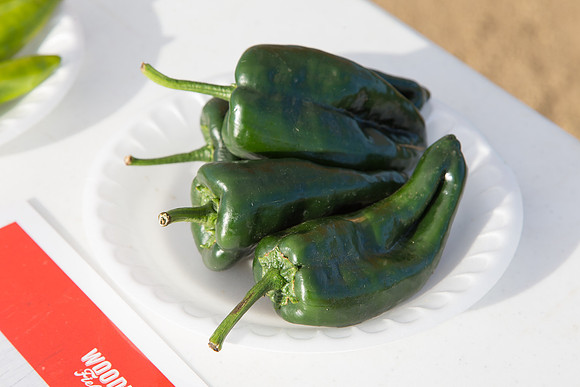 HotPeppers_FieldDays_Woodland_CA_0008