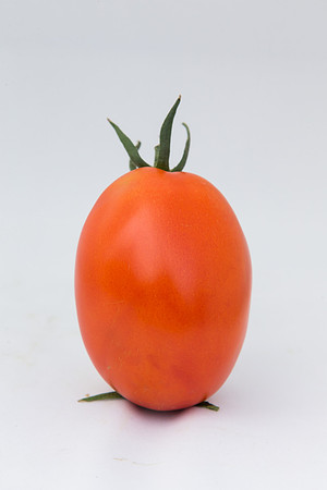 Tomato_SV4401TJ_MX_0116