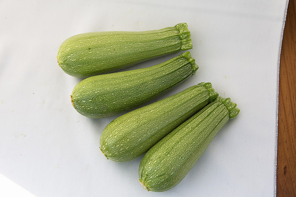 Squash_Terminator_MX_Group_0004