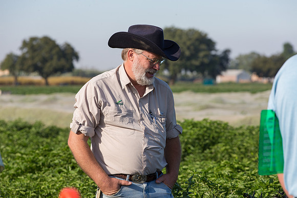 HotPeppers_FieldDays_Woodland_CA_0138