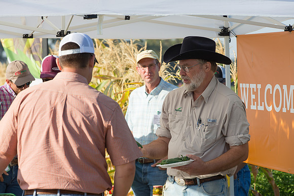 HotPeppers_FieldDays_Woodland_CA_0118